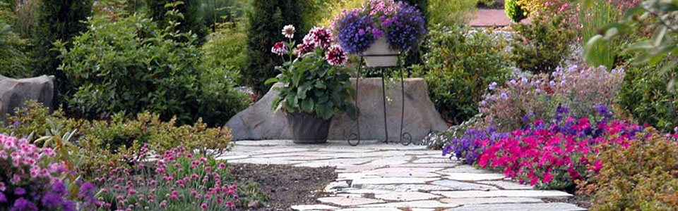 Planning Guide: Landscaping