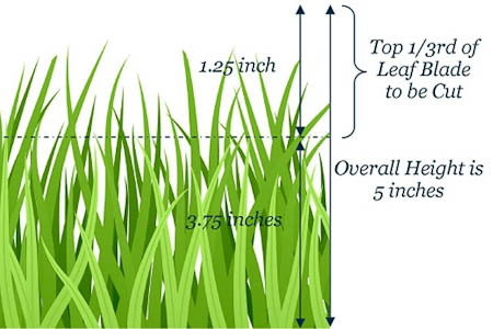 Irrigation Audits - Simpson Landscape