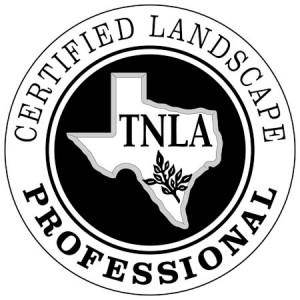 TNLA Professional Logo