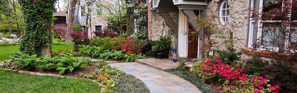 How The Right Landscaping Renovation Boosts Curb Appeal And Increases Property Value