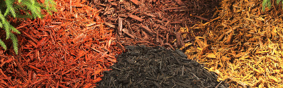 Mulching and Winter Protection: Essential Steps to Guard your Garden