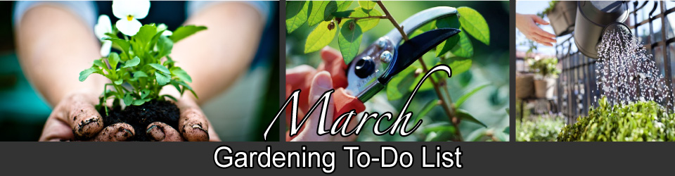 March Gardener's To-Do List - Simpson Landscape