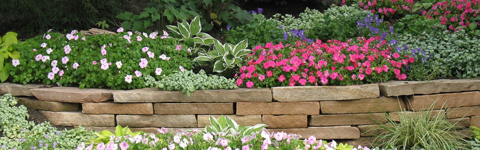 Put Your Waterlogged Worries to Bed with these Effective Landscaping Drainage Solutions